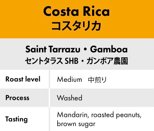 【酸味控えめ・バランス系】コスタリカ セントタラス ガンボア農園 100g｜やさしいフルーティー